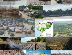 Koordinator FW & LSM Kalbar Indonesia: Kerusakan Alam Serta Hutan Salah Satu Penyebab Banjir di Kalbar