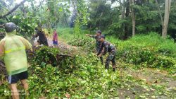 Prajurit Satgas Pamtas Yonif 645/GTY Karya Bhakti Bersama Warga Bersihkan Pohon Tumbang di Jalan Utama